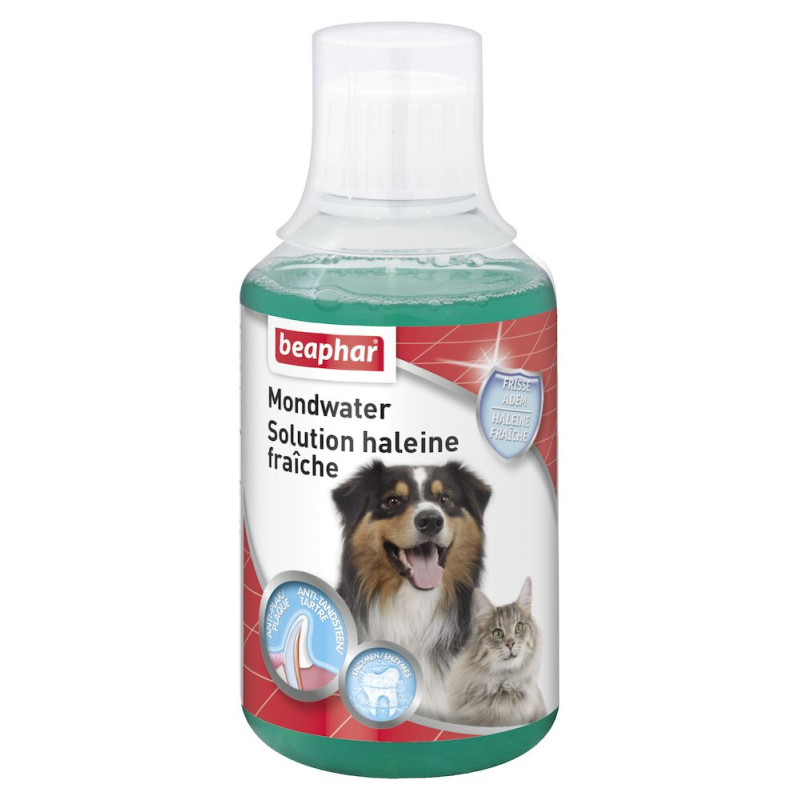 Solution haleine fraîche pour chien et chat BEAPHAR